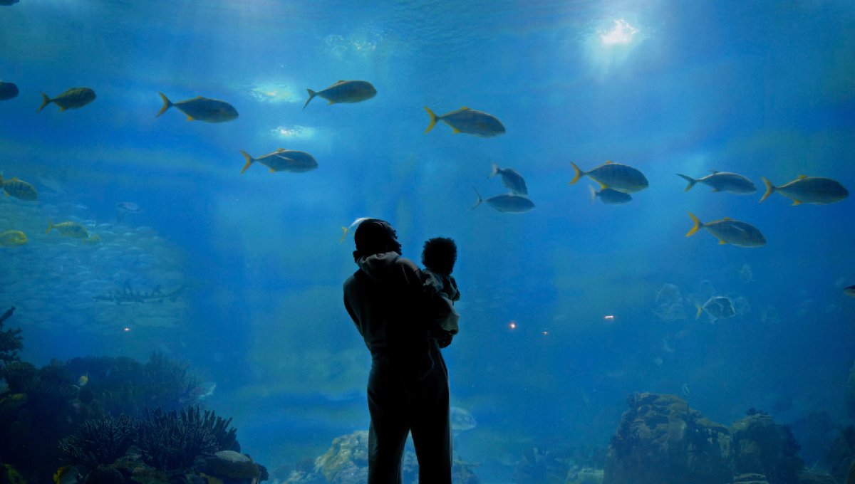Silhouette of a person holding a child in front of a large blue aquarium filled with fish.